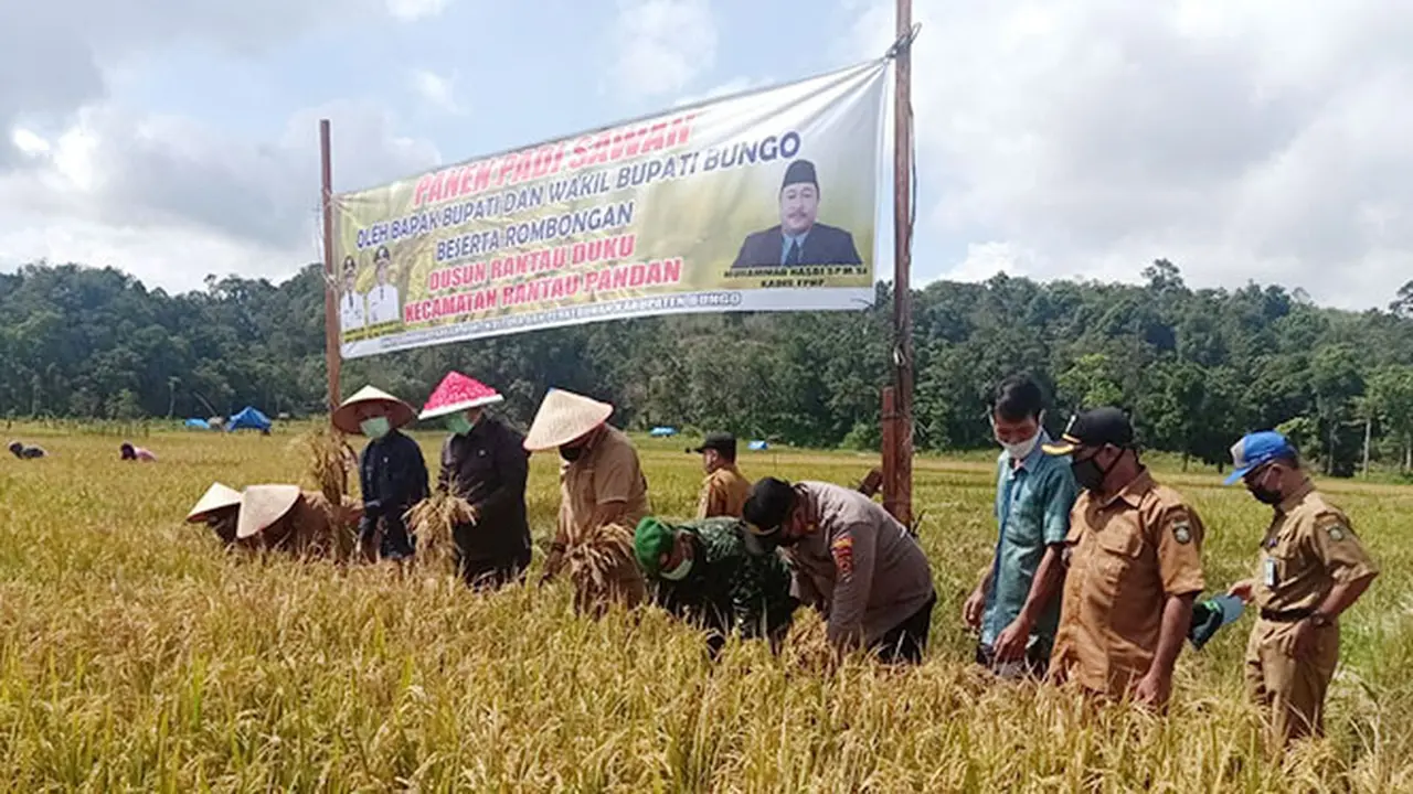 Bupati Bungo: Kami Siap Menjaga Pangan Indonesia