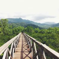 Hutan Mangrove Pancer Cengkrong, Trenggalek, Jawa Timur. (azzamaulaya/Instagram)