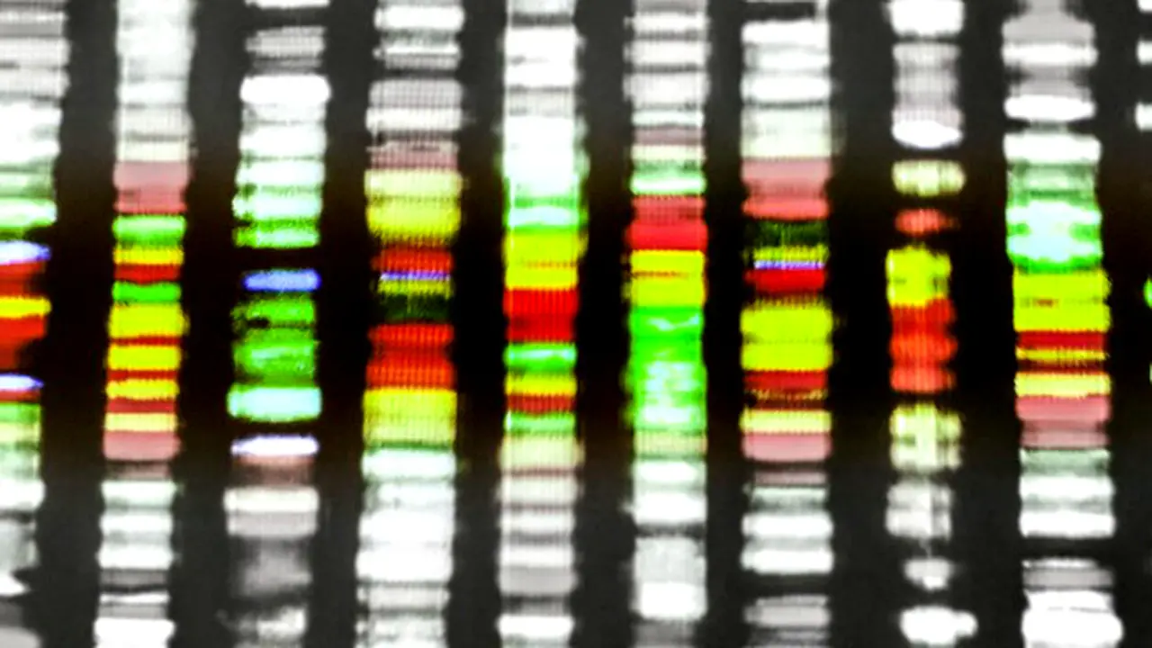 Uji DNA untuk orientasi seksual