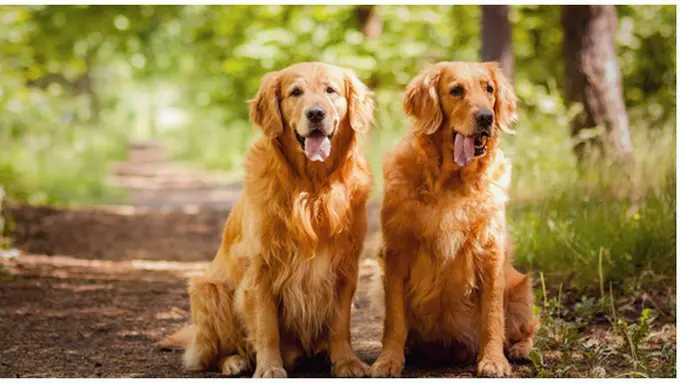 Photo: Copyright Thinkstockphotos.com