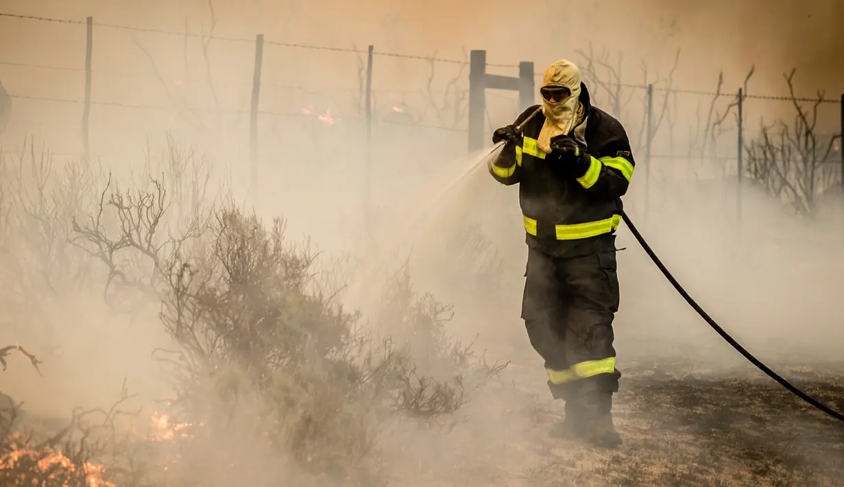 Petugas memadamkan api yang melanda kawasan Somerset West dekat Cape Town, Afrika Selatan, Rabu (4/1). Kebakaran tersebut telah menghancurkan sebagian wilayah perkebunan tertua di Afsel. (AP Photo / Stefan Smuts)
