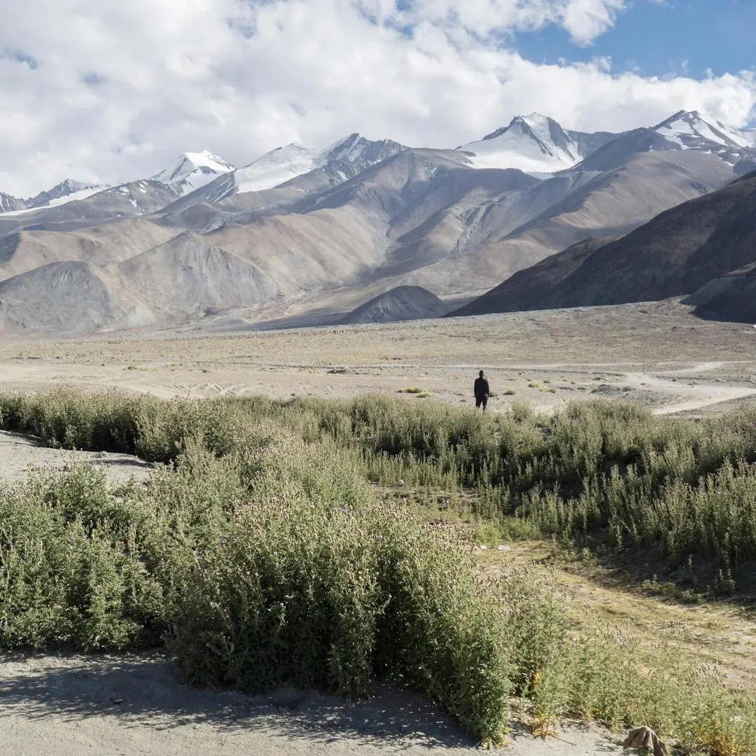Ladakh, India. (Sumber Foto: thephotomargaret/Instagram)