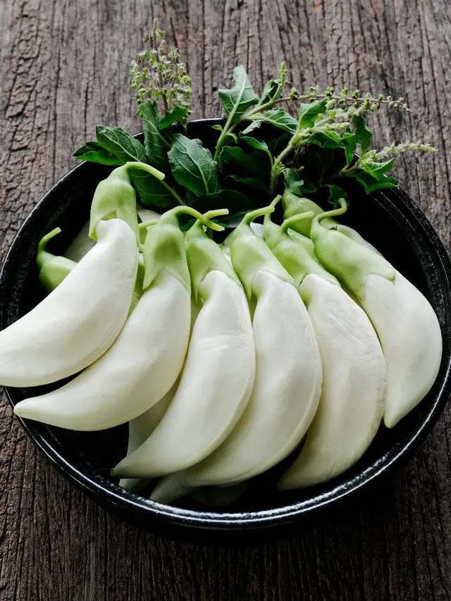 bunga turi