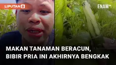 Aksi nekat seorang pria mencicipi tanaman beracun akhirnya kena imbasnya