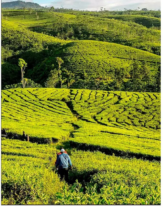 Wisata Lumajang