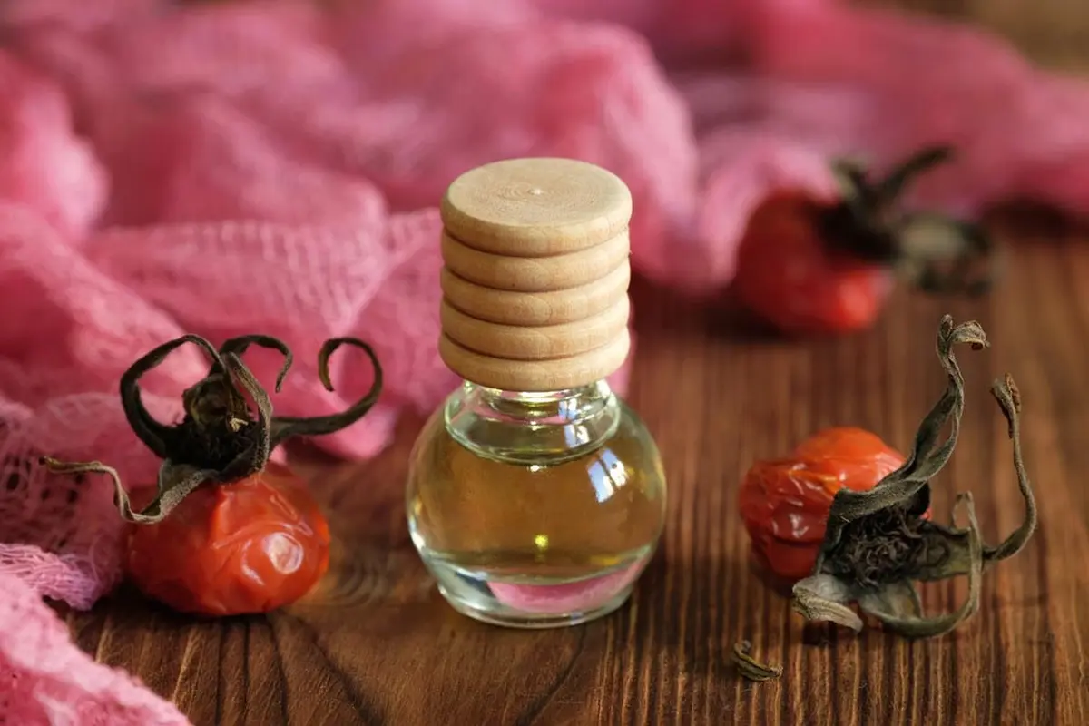 Ilustrasi minyak herbal untuk kesehatan (Tatiana.kochkina/Shutterstock)