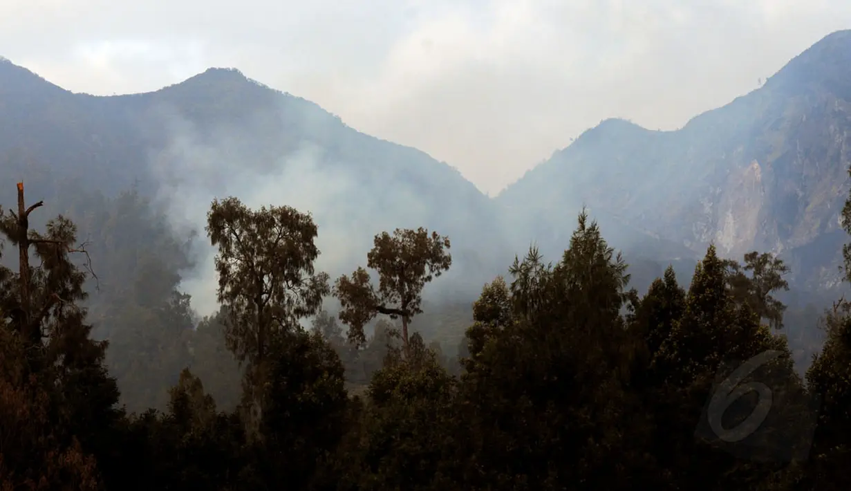 Kepulan asap putih sisa kebakaran masih terlihat di Pos Paltuding, Gunung Ijen, Jawa Timur (18/10/2014). (Liputan6.com/Helmi Fithriansyah)