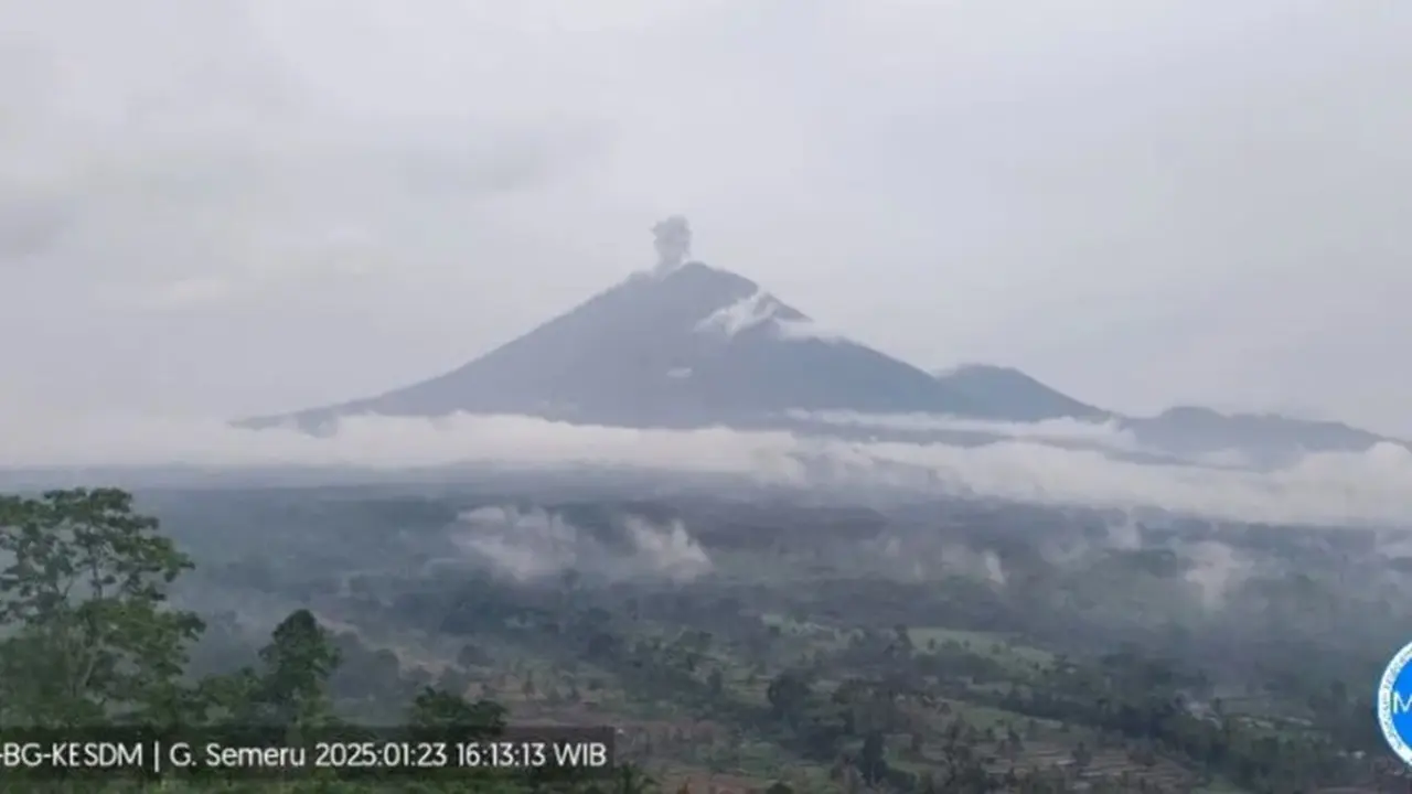Gunung Semeru kembali erupsi, dengan ketinggian 800 meter di atas permukaan laut (mdpl) (Istimewa)