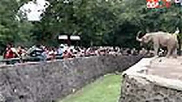 Kebun Binatang Ragunan