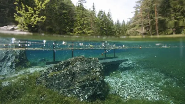 danau