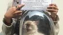 Pemilik kucing memperlihatkan kartu vaksin rabies di kelurahan Bukit Duri, Jakarta, Selasa (24/8/2021). Dinas Ketahanan Pangan, Kelautan, dan Pertanian (KPKP) memberikan vaksinasi rabies bagi hewan peliharaan warga untuk mengantisipasi penyakit rabies. (merdeka.com/Imam Buhori)