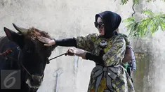 Penyanyi Syahrini saat melihat sapi yang akan dikurbankan dikediamannya di kawasan Bogor, Jawa Barat, Senin (12/9). Syahrini berharap saat Idul Adha tahun depan bisa berkurban lebih dari 3 sapi. (Liputan6.com/Herman Zakharia)