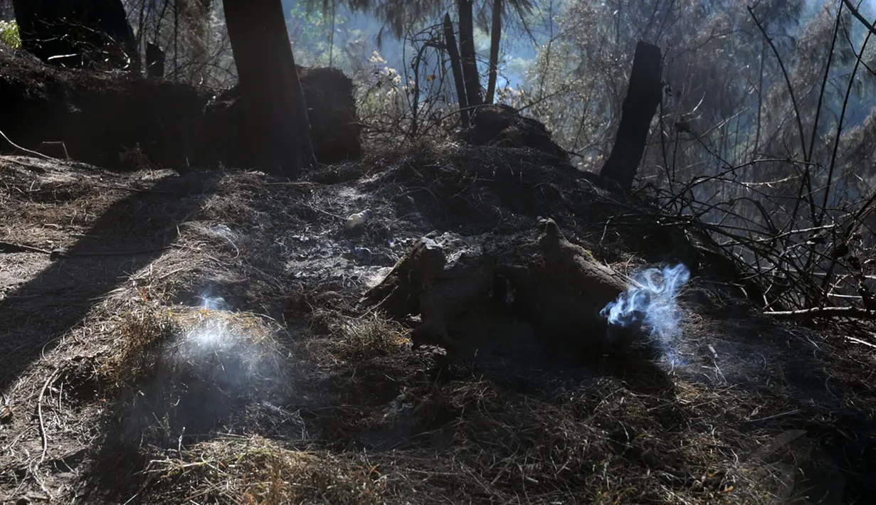 Di beberapa titik di kawasan Gunung Ijen masih terlihat beberapa titik api. Foto diambil pada Senin, (20/10/2014). (Liputan6.com/Helmi Fithriansyah)