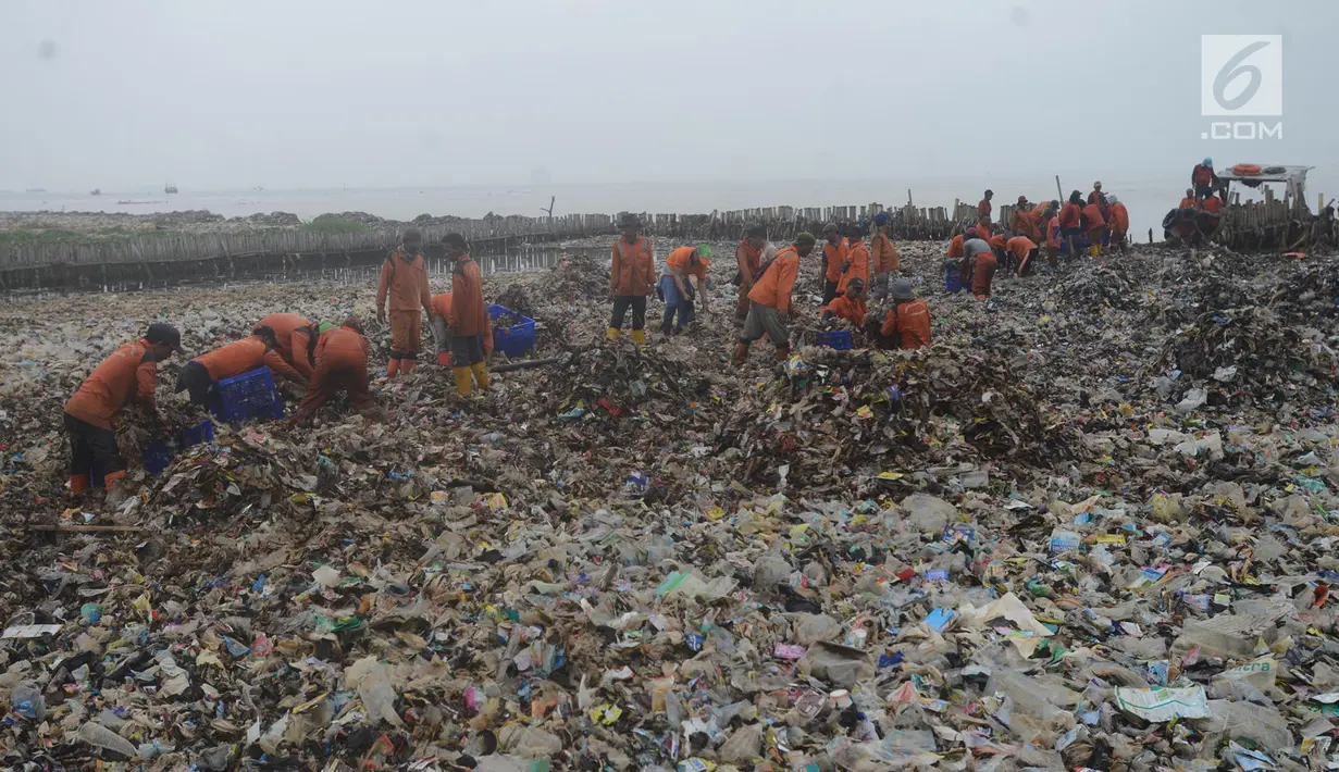 Petugas Suku Dinas Lingkungan Hidup membersihkan sampah plastik yang menumpuk di kawasan wisata hutan Mangrove Muara Angke, Jakarta, Sabtu (17/3). (Merdeka.com/Imam Buhori)