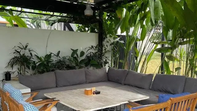 Tempat Makan View Sawah di Jogja
