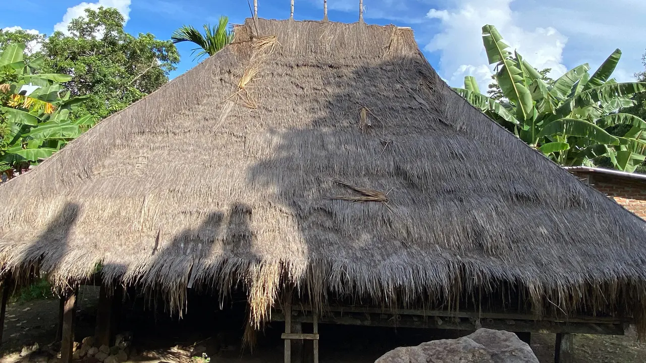 Rumah adat kampung Lewohala, di desa Jontona, kecamatan Ile Ape, Kabupaten Lembata (Liputan6.com/Ola Keda)