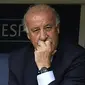 Pelatih tim nasional Spanyol, Vicente del Bosque. (AFP/Martin Bureau)