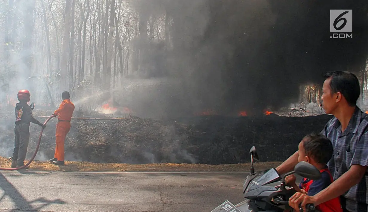 Petugas Pemadam Kebakaran menyemprotkan air saat memadamkan api yang membakar hutan jati di Kawasan Mijen Semarang, Sabtu (21/9/2019). Musim kemarau yang panjang dan kondisi yang kering mempermudah api menyebar di kawasan tersebut. (Liputan6.com/Gholib)
