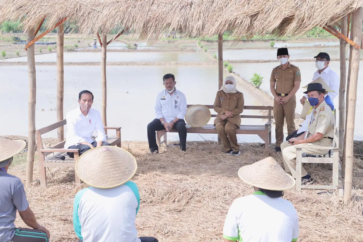 Jokowi menanam padi di Trenggalek. (Dian Kurniawan/Liputan6.com)