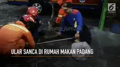 Kehadiran ular sanca sepanjang tiga meter di sebuah rumah makan di Kembangan, Jakarta Barat, bikin heboh.