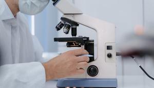 Ilustrasi riset, penelitian. (Photo by Tima Miroshnichenko on Pexels)