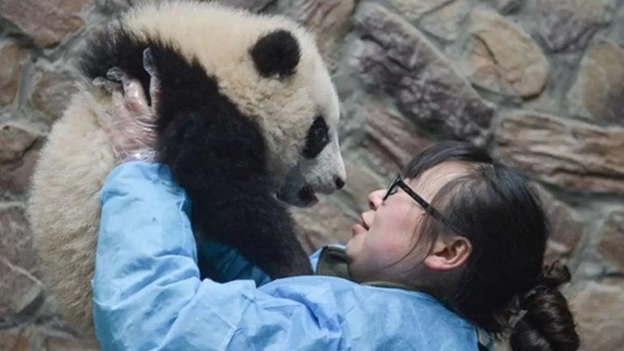 Photo: Copyright shanghaiist.com