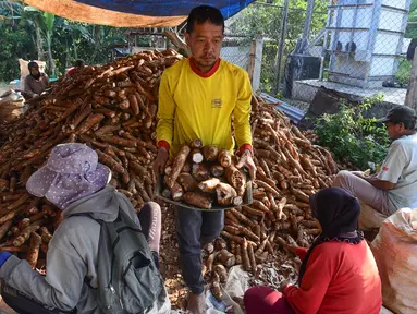 Pekerja mengolah singkong di sentra pengolahan bahan baku makanan ringan di Ciampea, Kabupaten Bogor, Jawa Barat, Minggu (26/7/2026). (KLY/ Arie Basuki)