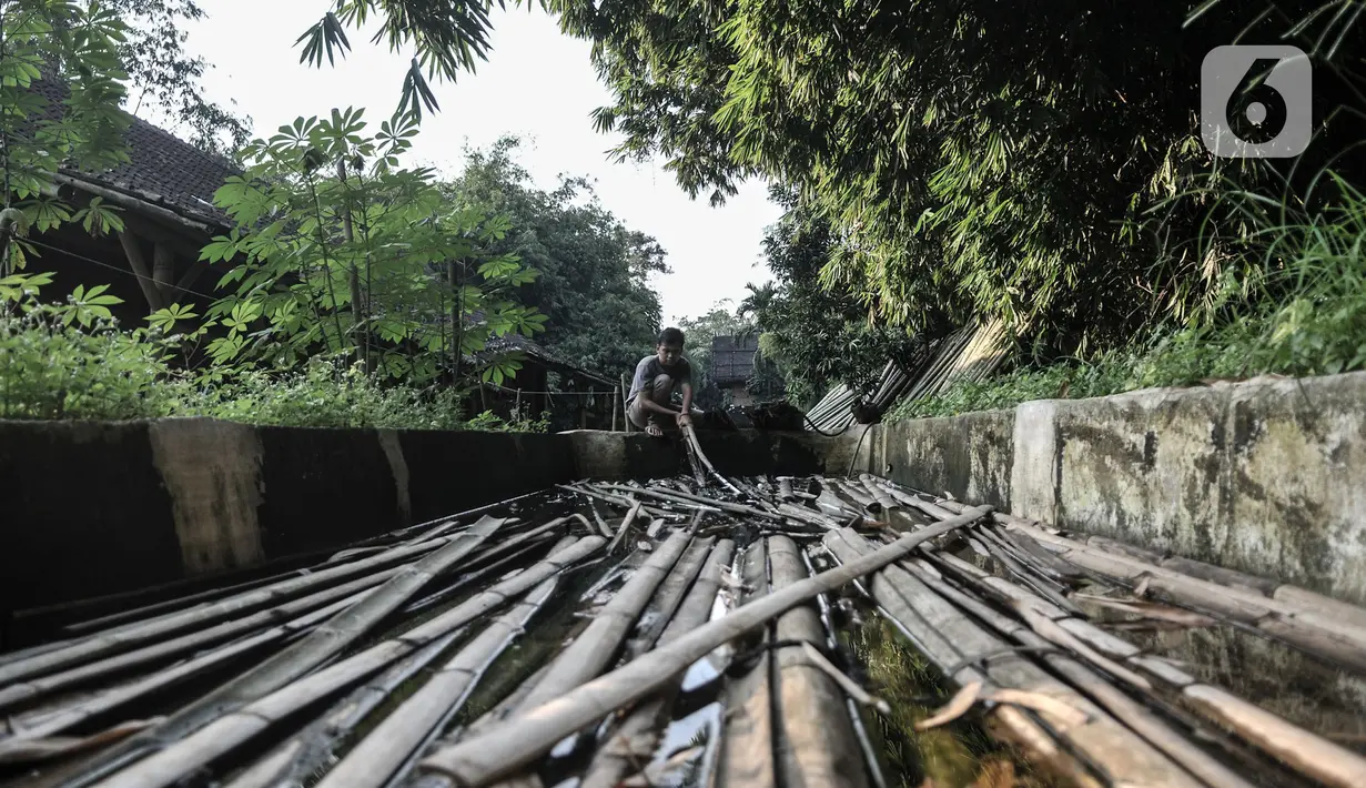 Kharis (25) memilih bambu yang telah direndam sebulan dalam air khusus untuk dijadikan rangka sepeda Jatnika di Workshop Perajin Bambu Indonesia, Cibinong, Bogor, Jawa Barat, Minggu (5/7/2020). Pembuatan diawali dengan pemilihan bambu yang ditebang pada bulan tertentu. (merdeka.com/Iqbal S. Nugroho)