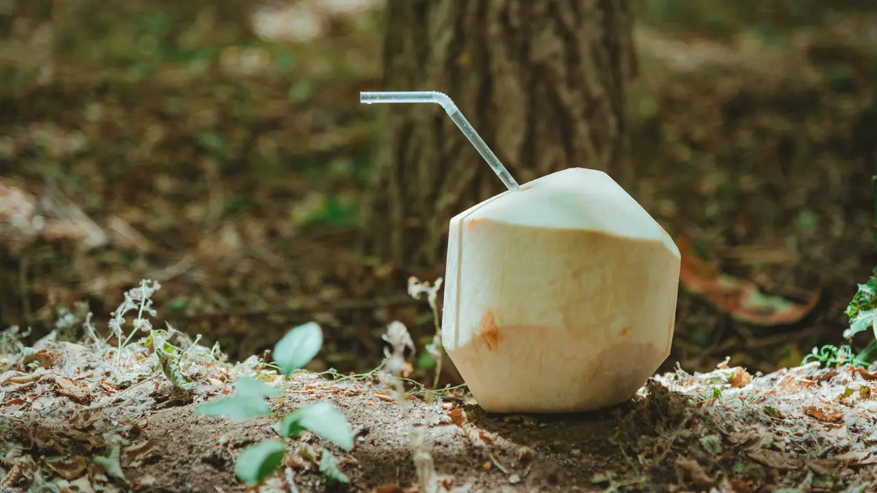 Manfaat dari air kelapa