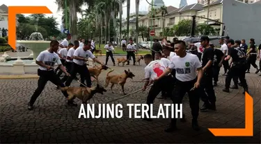 Mantan Kepala Badan Intelijen Negara (BIN), AM Hendropriyono, mendemonstrasikan kemampuan puluhan anjing impor terlatih di kediamannya di bilangan Senayan, Jakarta Pusat. Hendro menyatakan, siap membantu aparat TNI-Polri menjaga demonstrasi 22 Mei di...