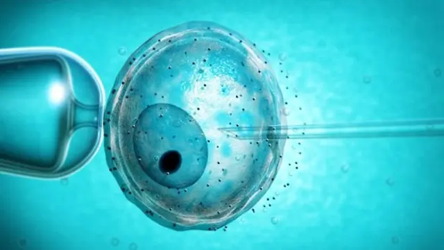 Tak Masuk Akal, Nenek 60 Tahun Mengandung Cucunya Sendiri