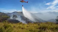 Kebakaran Bromo Tembus 899 Hektare, Tim Pemadam Gempur Titik Api Tersisa