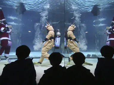 Sejumlah pengunjung menyaksikan aksi penyelam mengenakan pakaian Sinterklas di Coex Aquarium, Seoul, Korea Selatan (4/12/2019). Kegiatan ini untuk menyambut Natal 2019. (AP Photo/Ahn Young-joon)