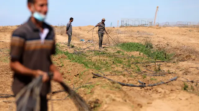Kondisi Lahan Pertanian Petani Palestina Setelah Dirusak Tentara Israel