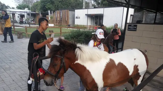 Johnsto Jogja Horse dan Resto