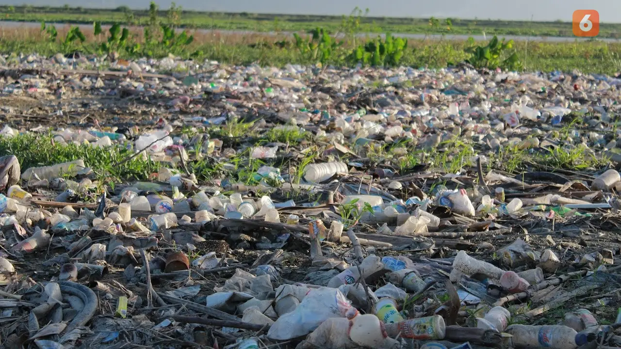 Sampah Plastik danau