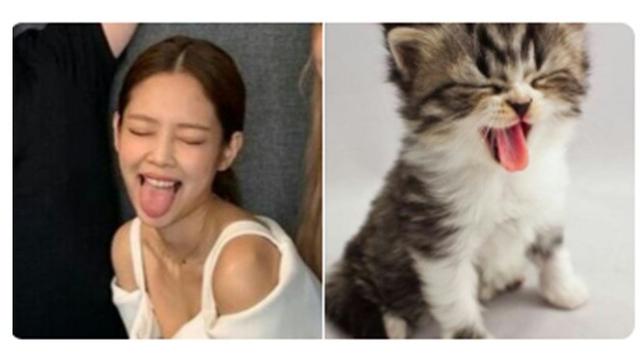 Ekspresi Jennie (Sumber: Twitter: /jenniesofty)