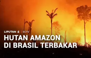 Hutan Amazon di Brasil Terbakar
