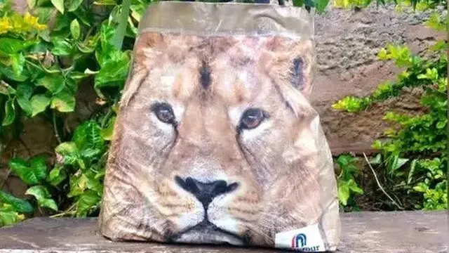 Tas Bergambar Singa Bikin Heboh