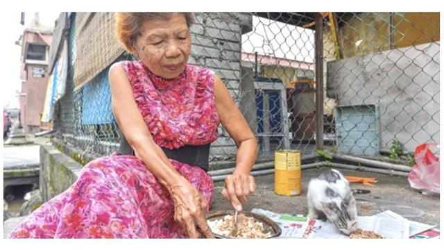 Nenek beri makan hewan liar