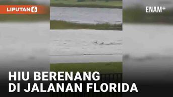 VIDEO: Ngeri, Hiu Berenang di Jalanan Florida yang Banjir Saat Badai Ian