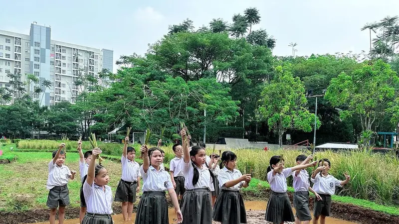 Anak-anak yang belajar menanam padi di Scientia Square Park