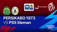 Jadwal Acara BRI Liga 1 Sore Ini : PSS Sleman Vs Persikabo 1973 di Vidio