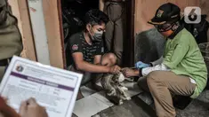 Petugas Sudin KPKP Jakpus melakukan vaksinansi rabies hewan peliharaan dengan sistem jemput bola di Gang Kingkit, Kebon Kelapa, Gambir, Selasa (3/11/2020). Selain di Pos RW setempat, vaksinasi rabies secara gratis dilakukan dengan sistem jemput bola ke rumah warga. (merdeka.com/Iqbal S Nugroho)