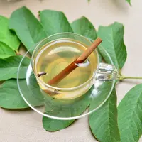 ilustrasi teh daun jambu/ARPHORN THAWARORIT/Shutterstock
