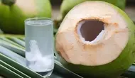 Hari Kelapa Sedunia (World Coconut Day): Manfaat Kelapa & Potensi Ekspor Kelapa RI