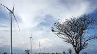 Pembangkit Listrik Tenaga Bayu (PLTB) Tanah Laut, Kalimantan Selatan, berkapasitas 70 MW.