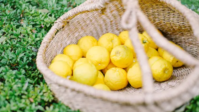 Kenalan Sama Uniknya Buah Yuzu, Superfruit Yang Memiliki Vitamin C 3x Lebih Banyak Dari Buah Lemon Lainnya