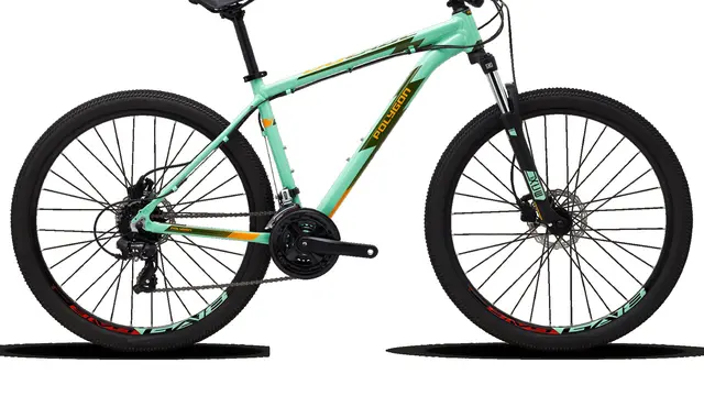 Polygon Bikes