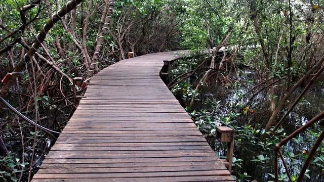 Menyusuri Syahdunya Bee Jay Bakau Resort, Probolinggo